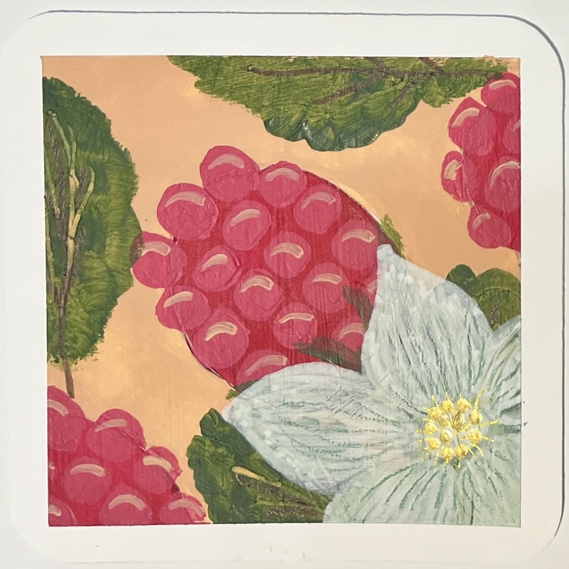 28/10/25
Raspberries