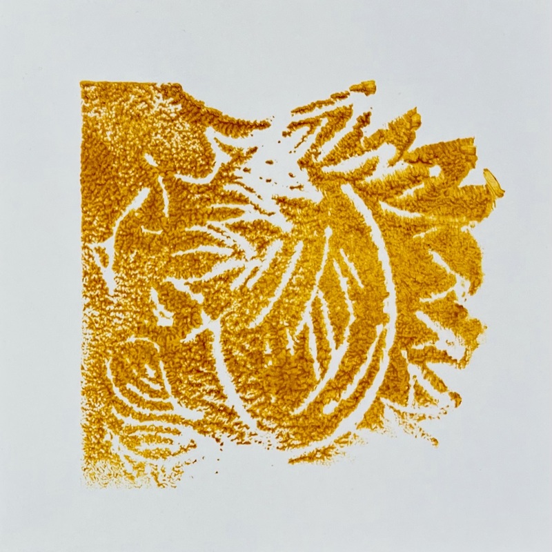 06/01/26
Sunflower Print
