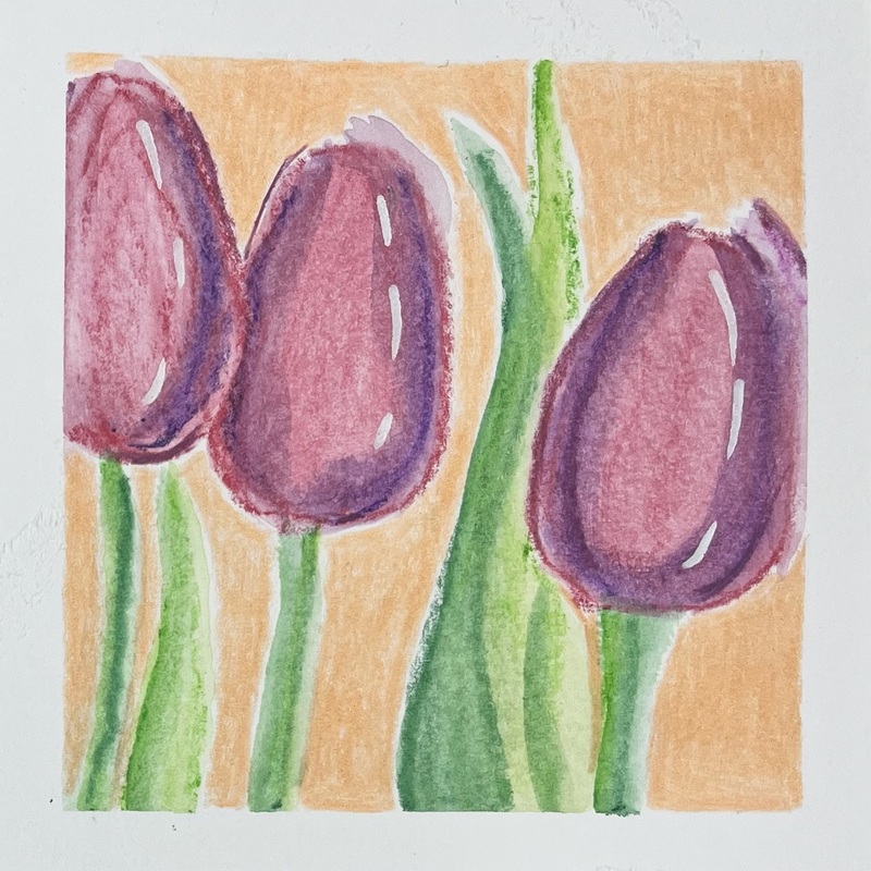 03/02/26
Tulips