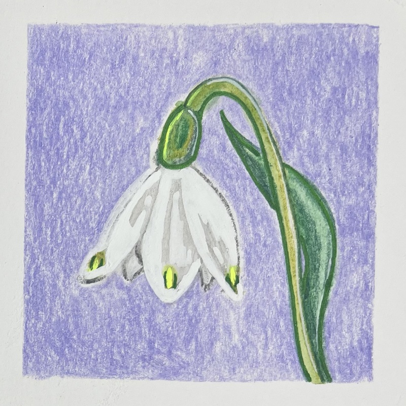 20/01/26
Berkshire Snowflake
